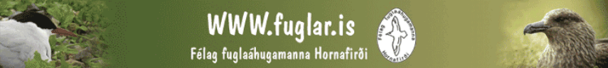 Félag fuglaáhugamanna Hornafirði